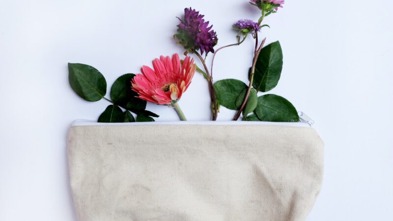 Eco-friendly Cosmetic Brands