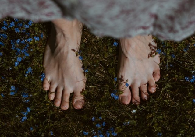 Biophilic Nurseries: Architecting a Nature-First Sanctuary in 2026