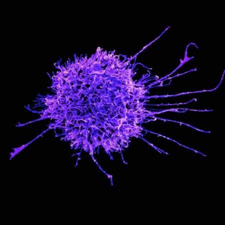 How to Strengthen Your Immune System for the School Season