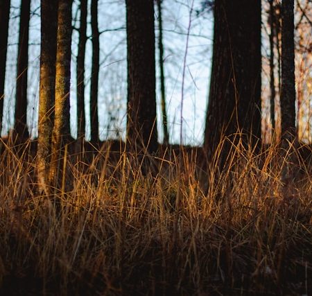 Cozy Self-Care Rituals for Cold Evenings: Warming the Body and Soothing the Soul