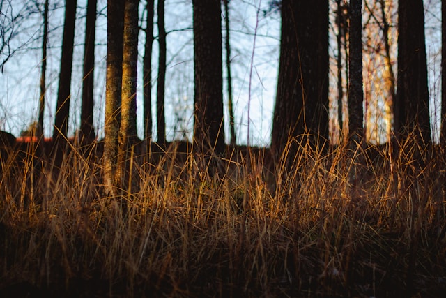 Cozy Self-Care Rituals for Cold Evenings: Warming the Body and Soothing the Soul