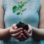 sustainable lifestyle