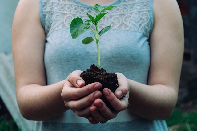 Low-Buy Lifestyle in 2026: A Beginner’s Guide to Spending Less Without Feeling Deprived