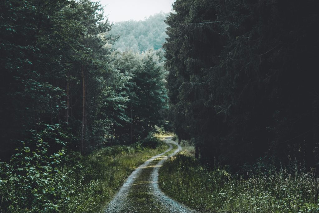 Coolcation travel in Poland