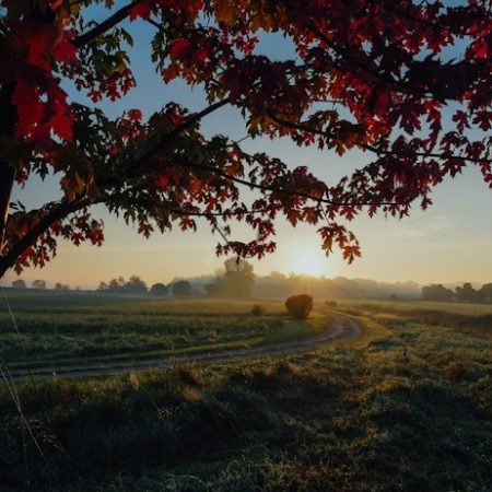 The September Slowdown: How to Ease Back Into a Routine Without Losing Your Summer Energy