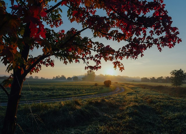 The September Slowdown: How to Ease Back Into a Routine Without Losing Your Summer Energy