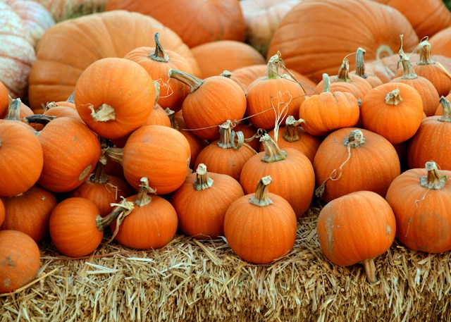 simple Halloween decorations