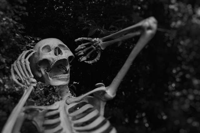 Simple Halloween Decorations for a Cozy, Clutter-Free Home